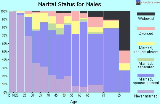 Zip code 11416 marital status for males