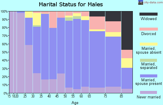 Zip code 11426 marital status for males