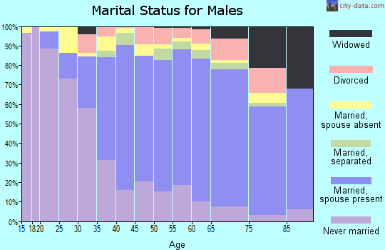 Zip code 11427 marital status for males