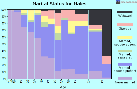 Zip code 11429 marital status for males