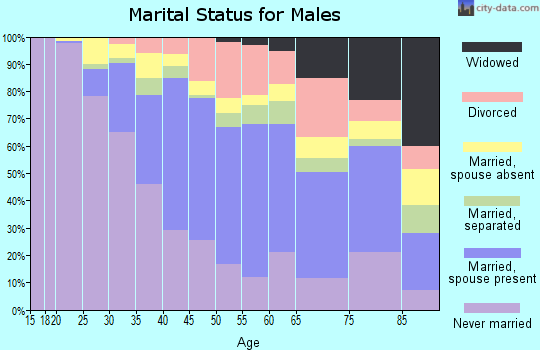 Zip code 11434 marital status for males