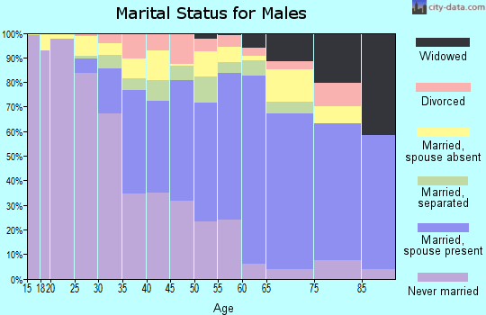 Zip code 11436 marital status for males