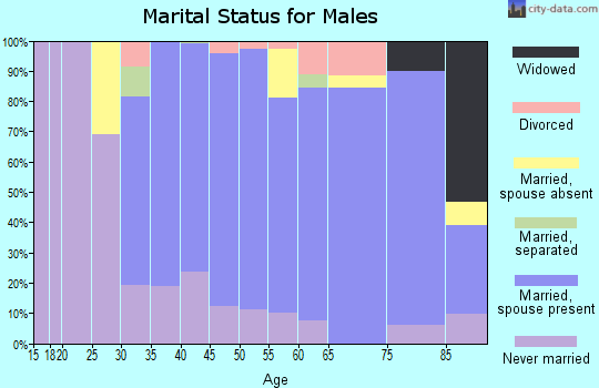 Zip code 11507 marital status for males