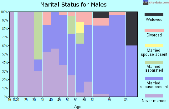 Zip code 11509 marital status for males
