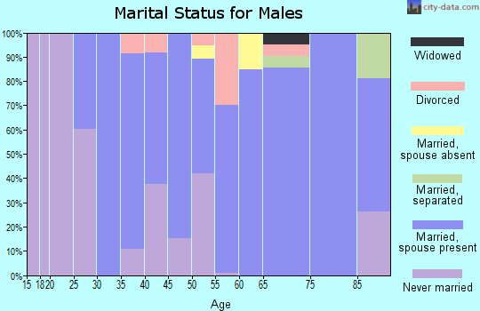 Zip code 11516 marital status for males