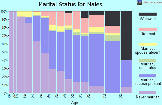 Zip code 11520 marital status for males