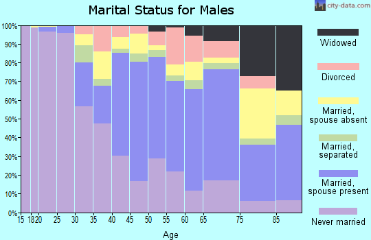 Zip code 11553 marital status for males