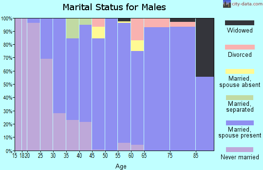 Zip code 11559 marital status for males