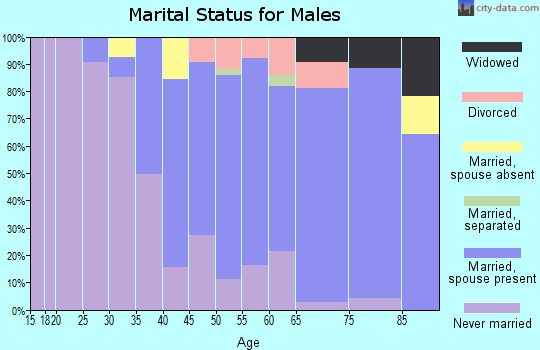 Zip code 11565 marital status for males