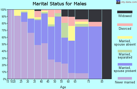 Zip code 11575 marital status for males