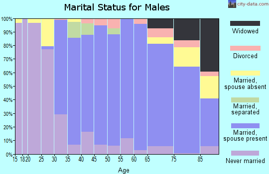 Zip code 11577 marital status for males