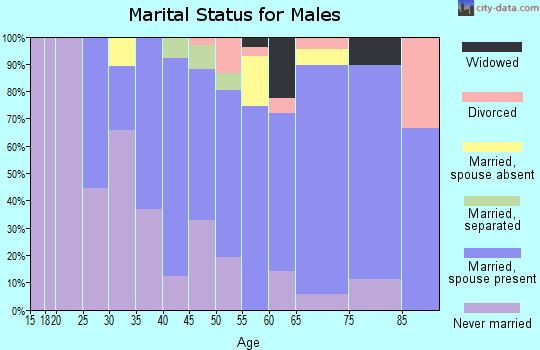 Zip code 11579 marital status for males