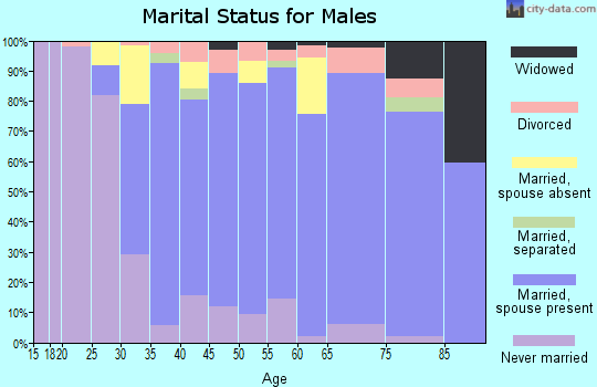 Zip code 11581 marital status for males