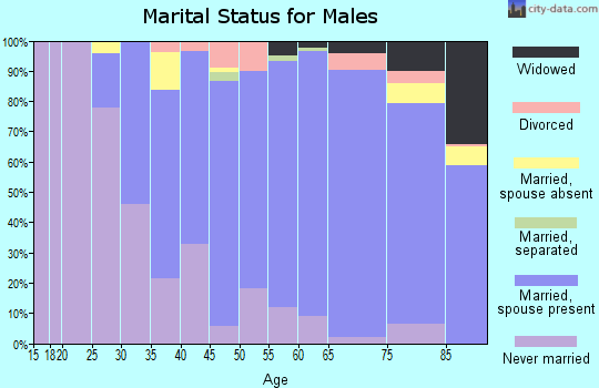 Zip code 11596 marital status for males