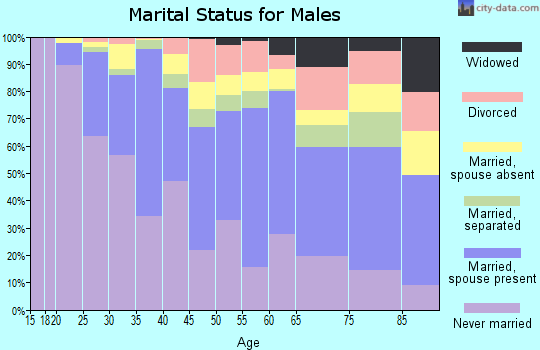 Zip code 11691 marital status for males