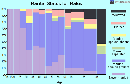 Zip code 11694 marital status for males
