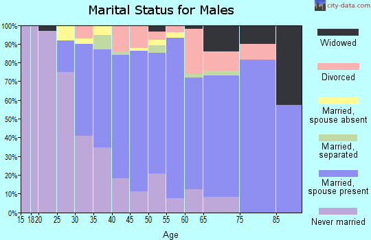 Zip code 11702 marital status for males