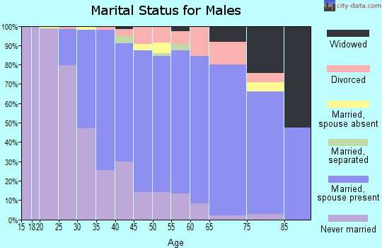 Zip code 11703 marital status for males