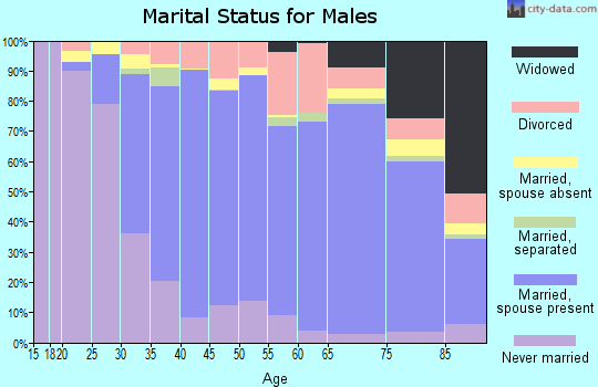 Zip code 11704 marital status for males
