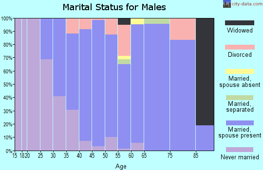 Zip code 11705 marital status for males