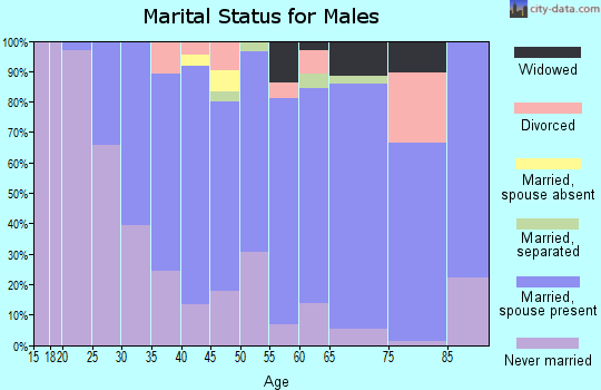 Zip code 11709 marital status for males