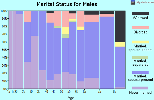 Zip code 11713 marital status for males