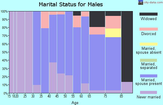 Zip code 11715 marital status for males