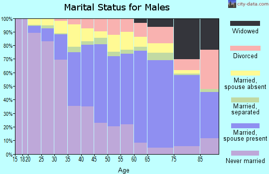 Zip code 11717 marital status for males