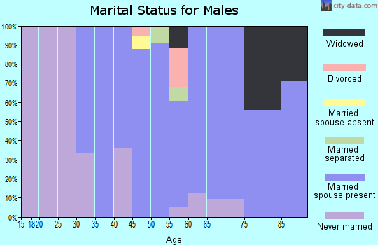Zip code 11724 marital status for males