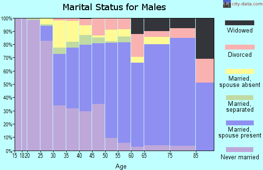 Zip code 11726 marital status for males