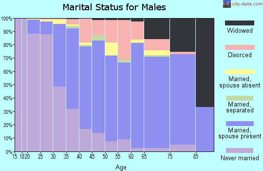 Zip code 11727 marital status for males