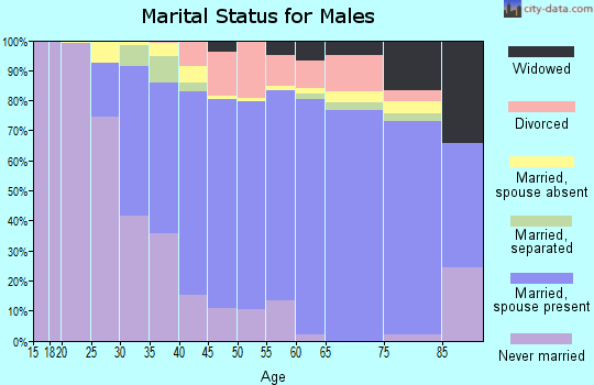 Zip code 11729 marital status for males