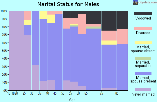 Zip code 11730 marital status for males