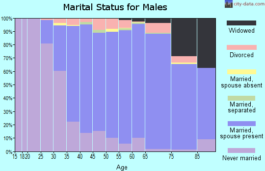 Zip code 11731 marital status for males