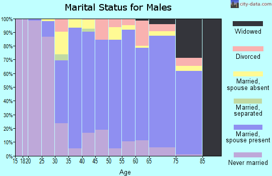 Zip code 11738 marital status for males