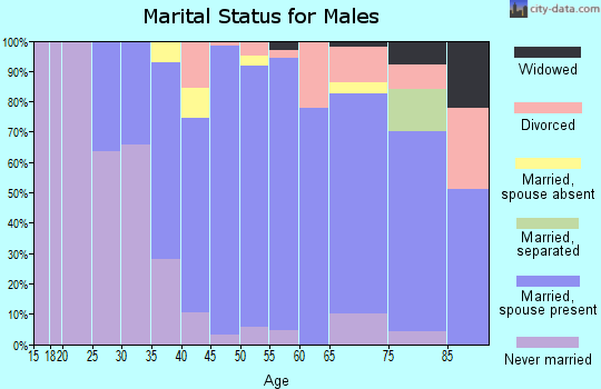Zip code 11740 marital status for males