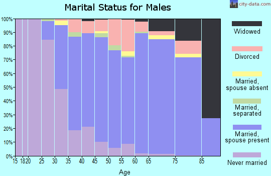 Zip code 11741 marital status for males