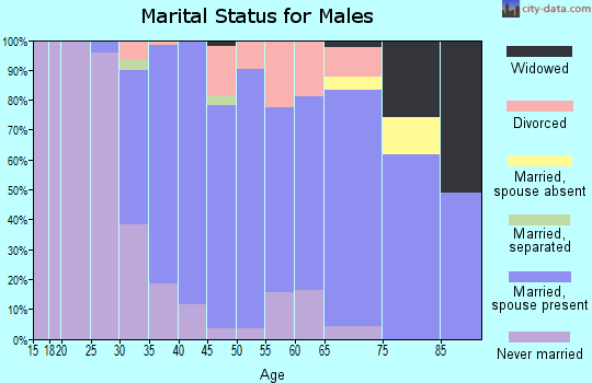 Zip code 11742 marital status for males
