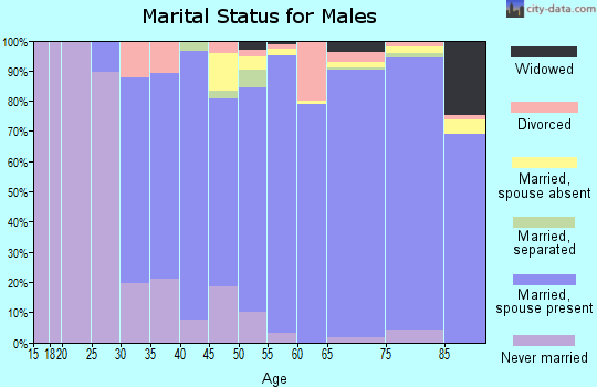 Zip code 11747 marital status for males