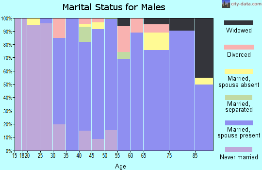 Zip code 11753 marital status for males