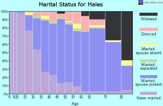 Zip code 11763 marital status for males
