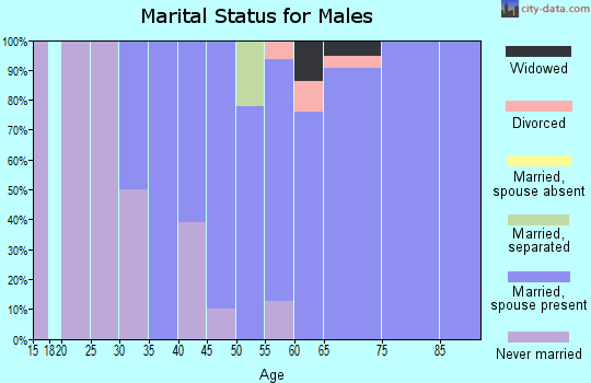 Zip code 11765 marital status for males