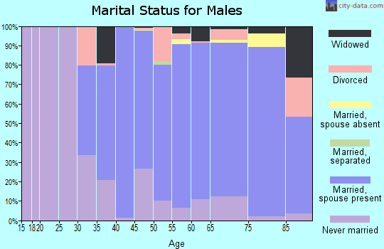Zip code 11771 marital status for males