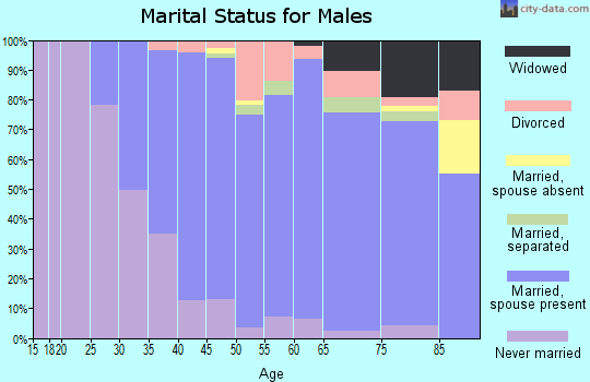 Zip code 11782 marital status for males