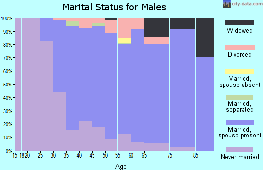 Zip code 11783 marital status for males
