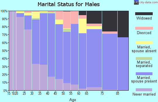 Zip code 11784 marital status for males