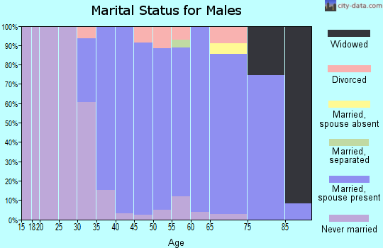 Zip code 11786 marital status for males