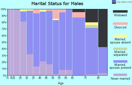 Zip code 11790 marital status for males