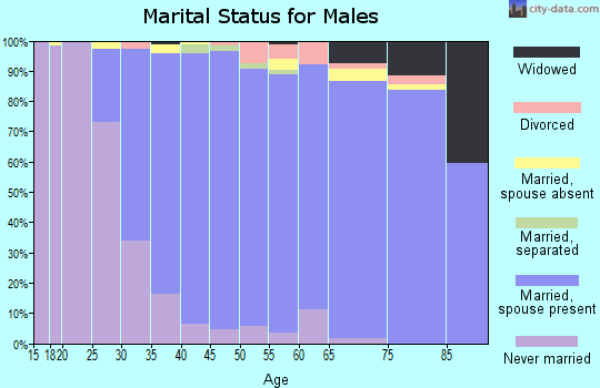 Zip code 11791 marital status for males