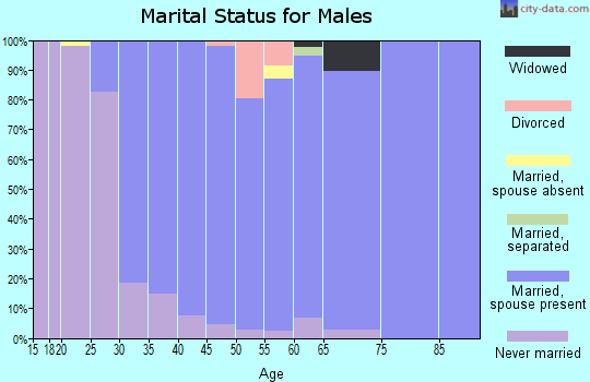 Zip code 11792 marital status for males